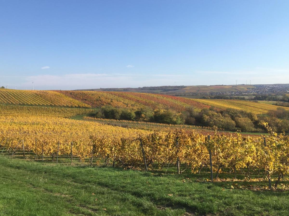 Rheinhessen Apartment Nieder-Olm  Εξωτερικό φωτογραφία